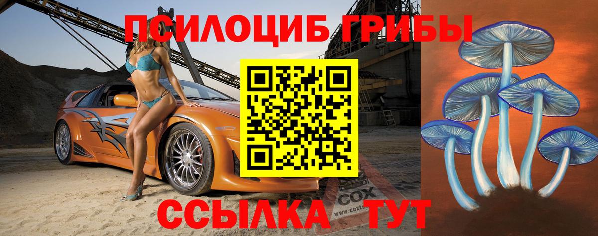 Псилоцибиновые грибы Psilocybe Касимов