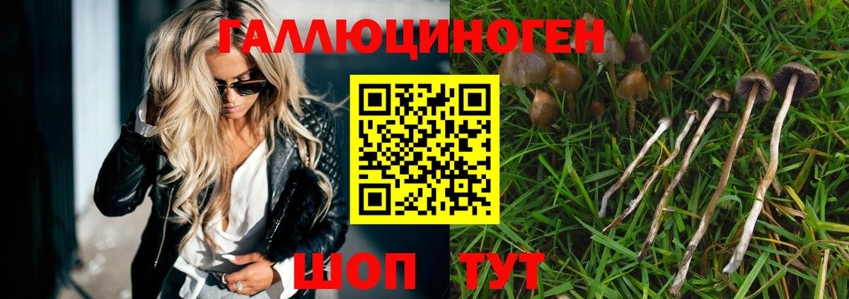 Касимов  Псилоцибиновые грибы ЛСД  Вход с VPN 
